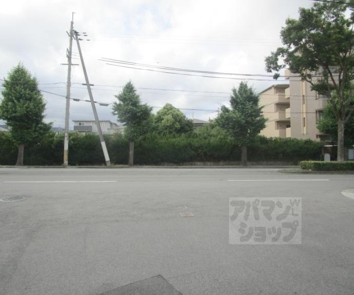 【MESA VERDE京都北山通】間取