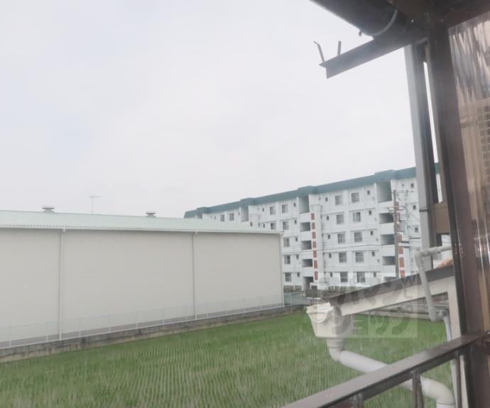 【吉祥院石原南町 連棟住宅】間取