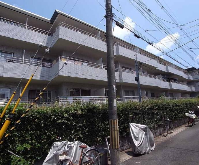 【グリーンパレス蚕の社】間取