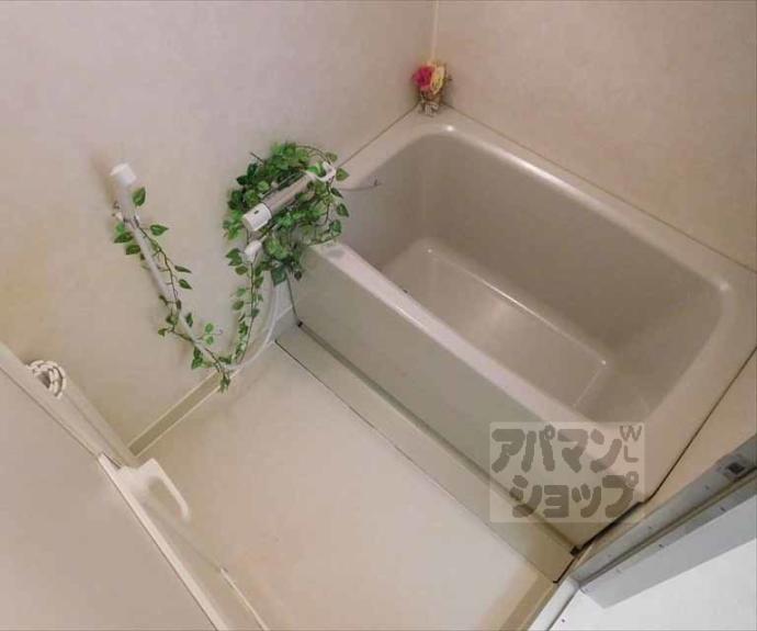 【メゾンミソノ】間取