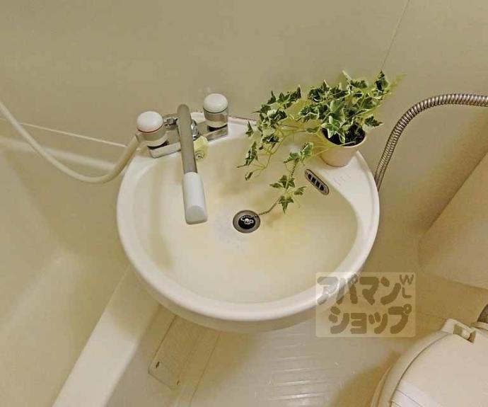 【シティーコーポ円町】間取