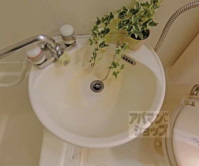 【シティーコーポ円町】間取