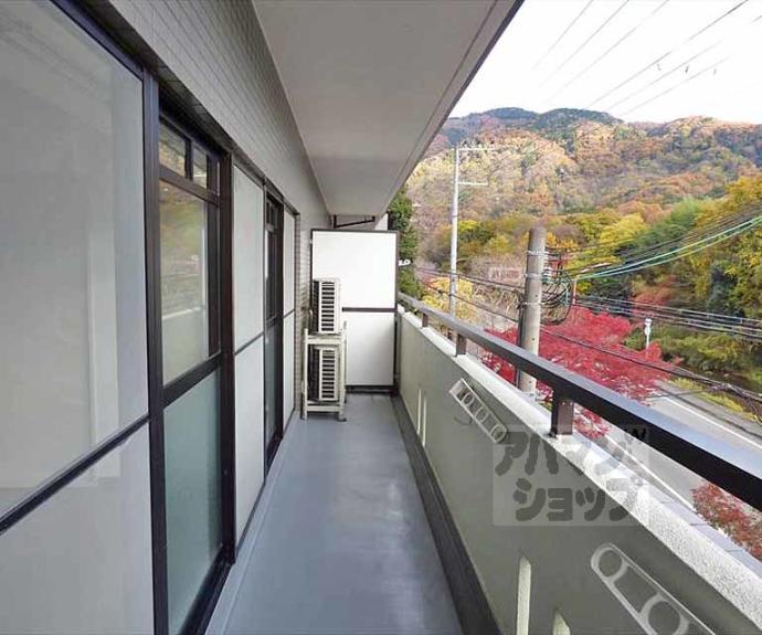 【緑の森】間取