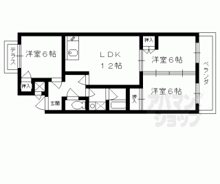 【エバグリーン桂】