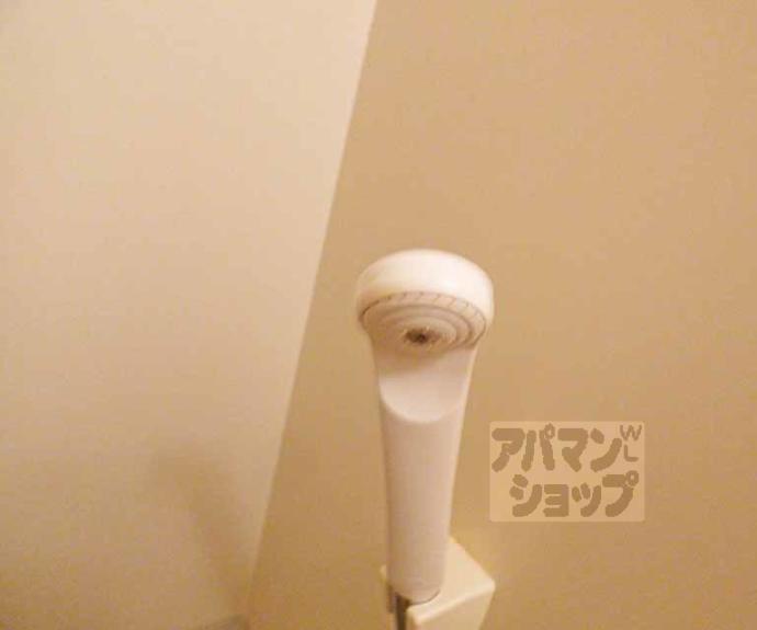 【ＣＡＳＡ　Ｐｅｔｉｔ　Ｓｕｇａｒ】間取