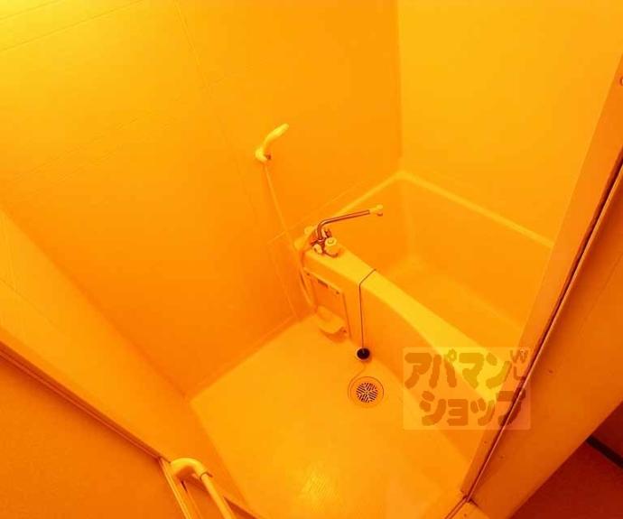 【コージーハイツ大宮】間取