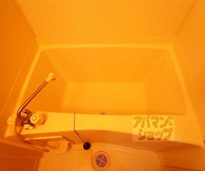 【コージーハイツ大宮】間取