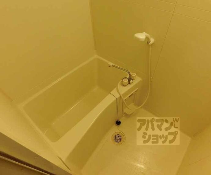 【コージーハイツ大宮】間取