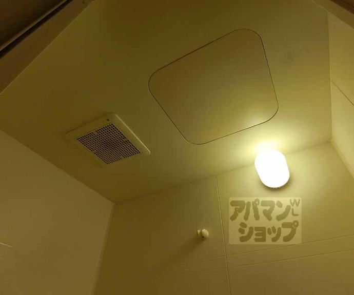 【コージーハイツ大宮】間取