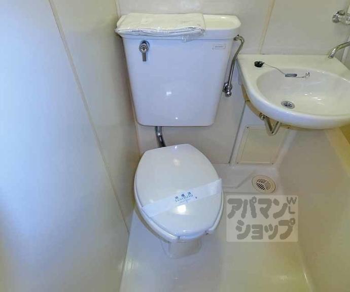 【ＤＡＩＳＹ　ＣＯＵＲＴ】