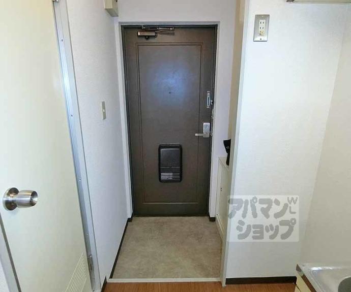 【ＤＡＩＳＹ　ＣＯＵＲＴ】