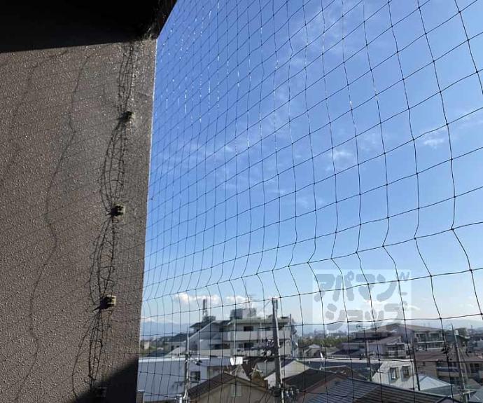 【桂徳大寺北町マンション】間取