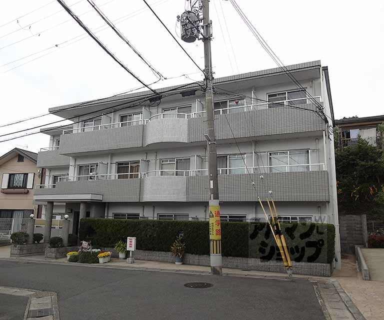 ビオルネセブン