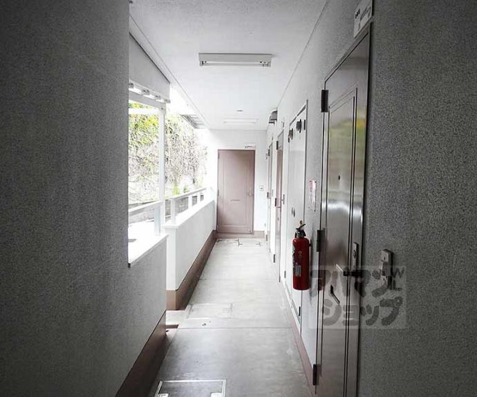 【ビオルネセブン】間取