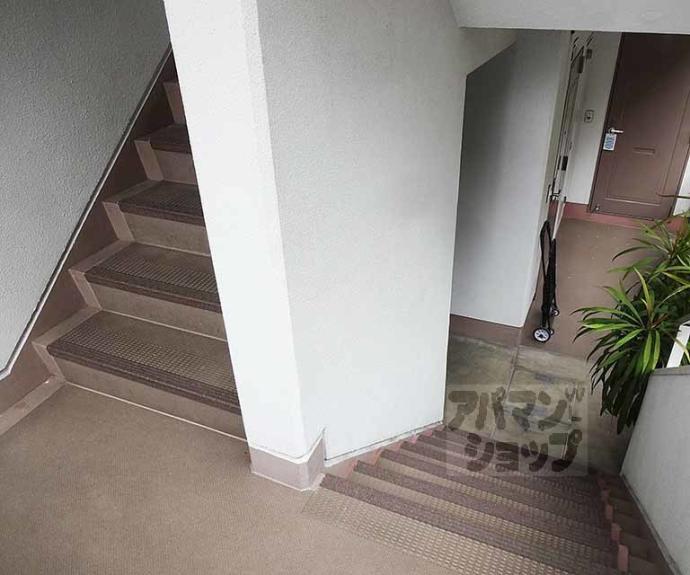 【ビオルネセブン】間取