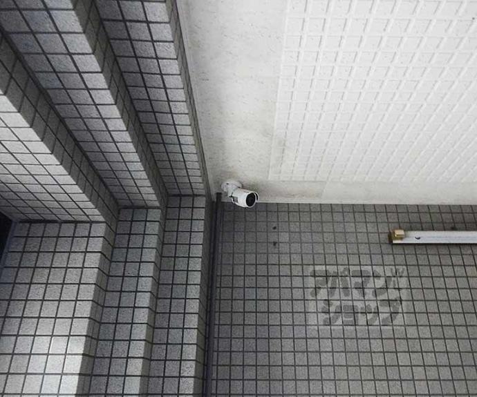 【ビオルネセブン】間取