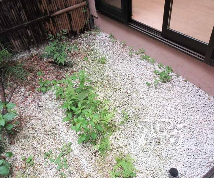 【西野楳本町貸家】間取