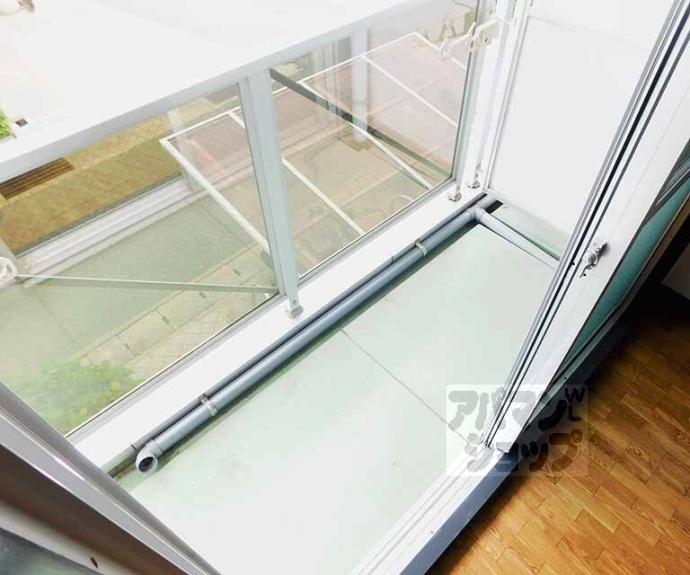 【ネオパルマ】間取