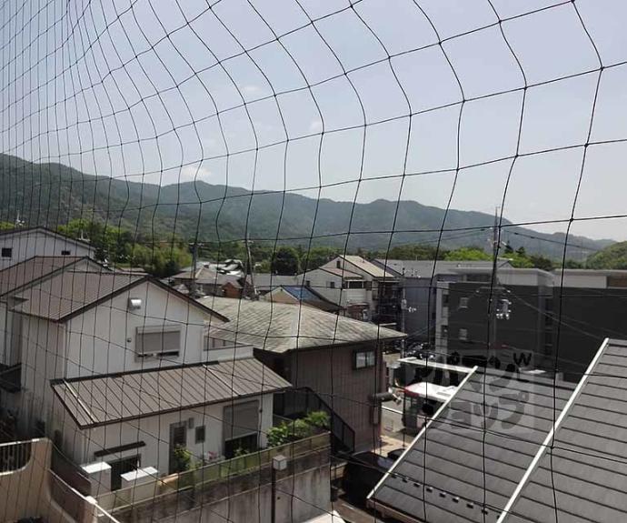 【勧修寺ハイツ】間取