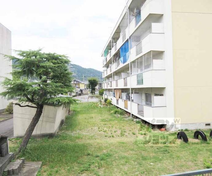 【アルビオンシティ京都堂田】間取