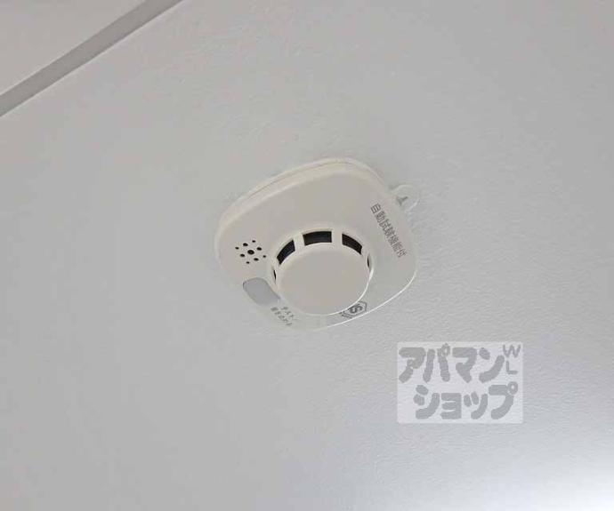 【サンレモトーヨーハイツ】間取