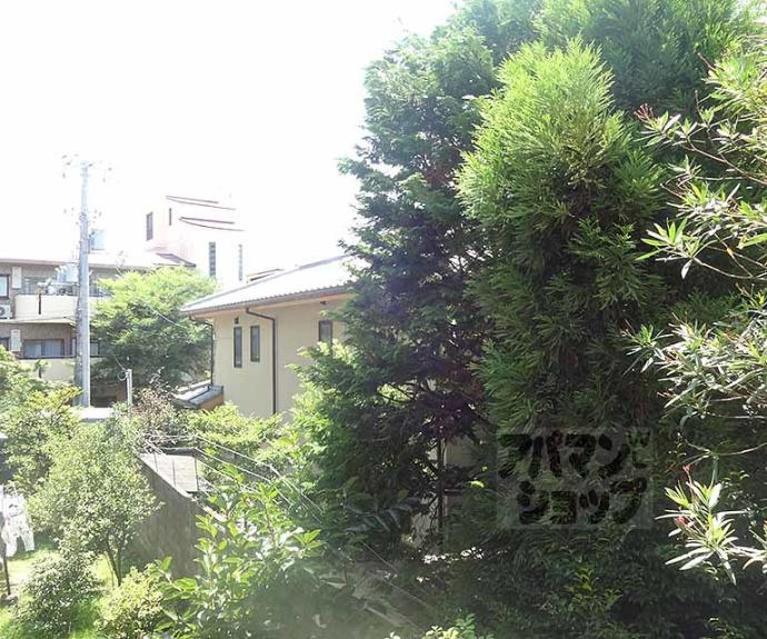 【浜野マンション】間取