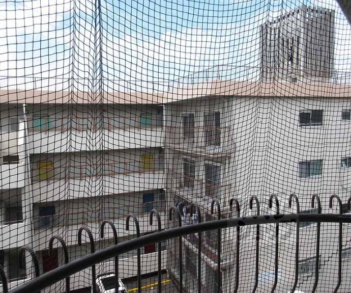 【関生ハイツ】間取