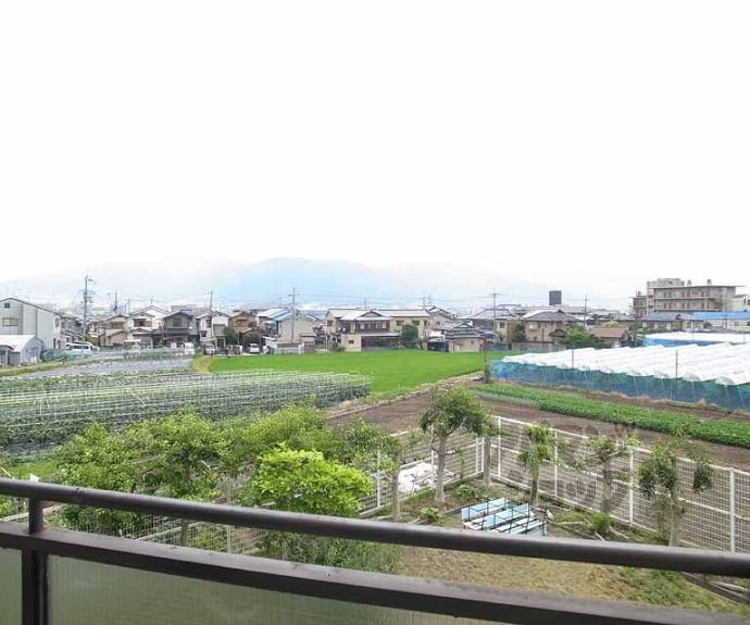 【グリーンメドウ洛】間取