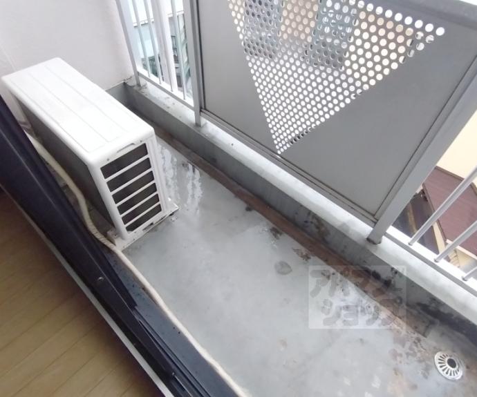 【ルネハイツ芝生】間取