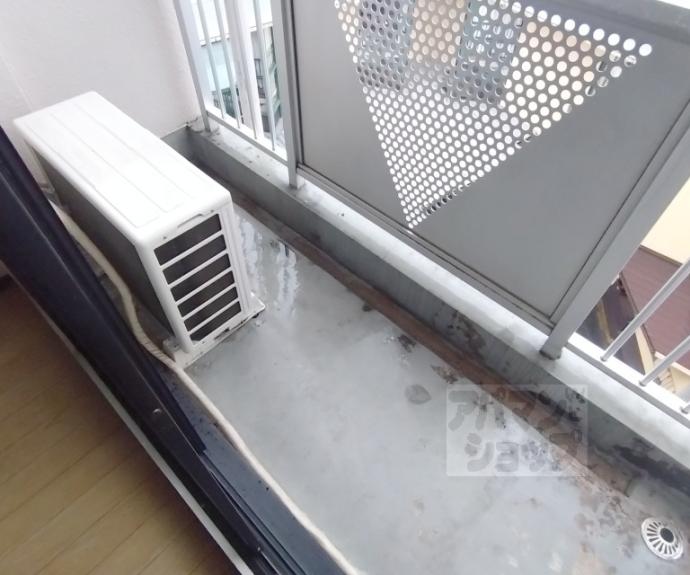 【ルネハイツ芝生】間取