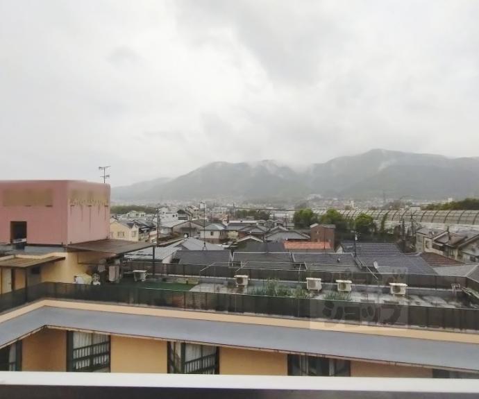 【ルネハイツ芝生】間取