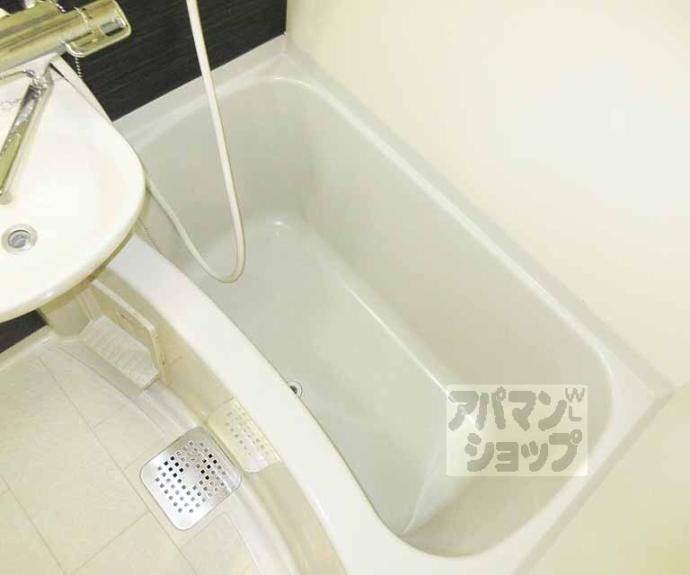 【ショーミエール安朱】間取