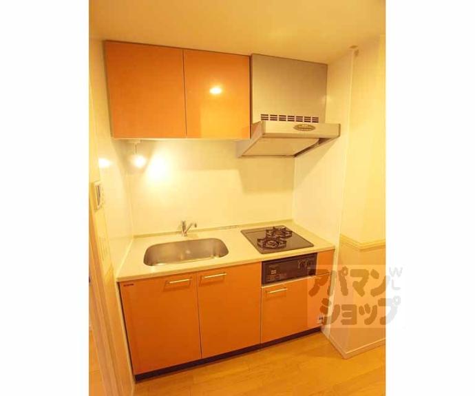 【パインフィールド洛東】間取