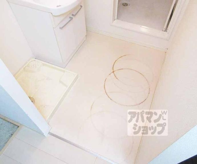 【パールコート　ハナノキ】間取