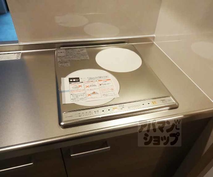 【ハーミテージ安朱】間取