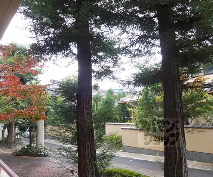 【ハーミテージ安朱】間取