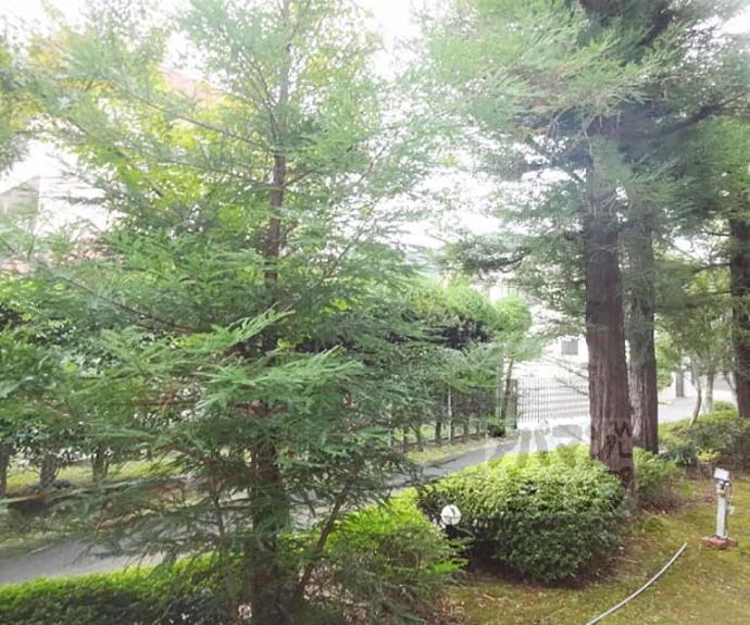 【ハーミテージ安朱】間取