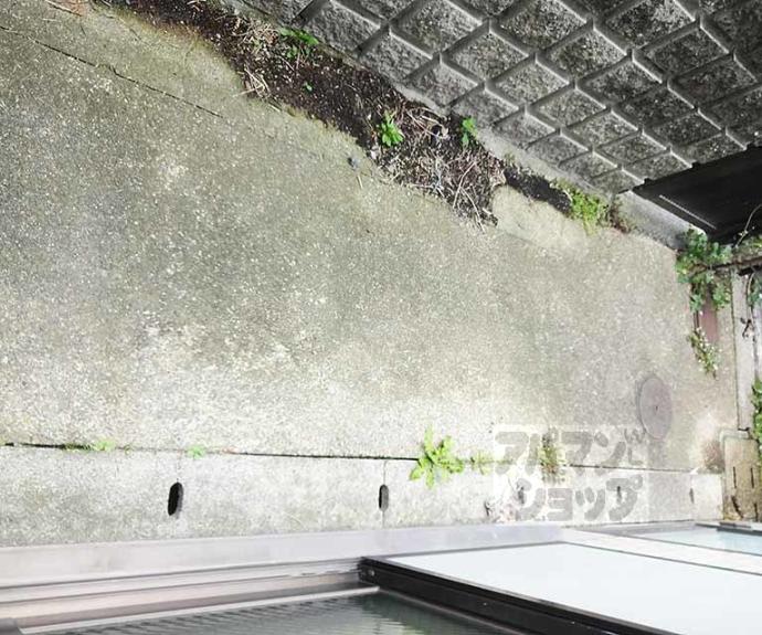 【Ｂｅｅ　Ｈｏｕｓｅ】間取