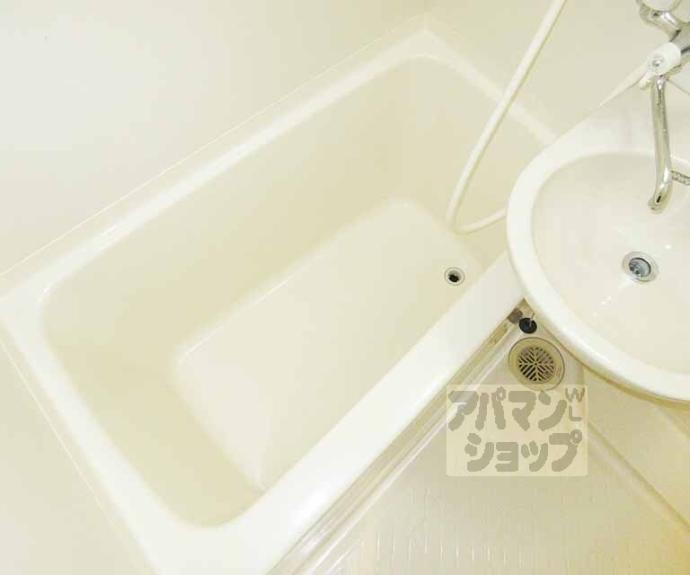 【ヴィラ樅の木】間取