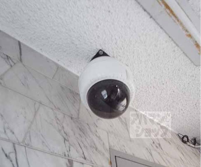 【ベルテラス山科】間取