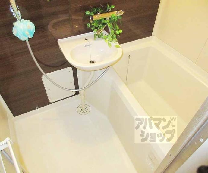 【コートバレー】間取