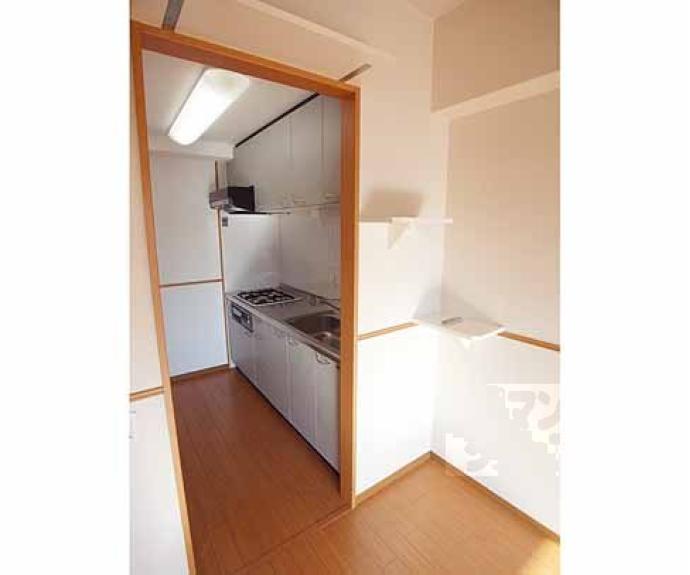 【シュシュパルク山陵】間取