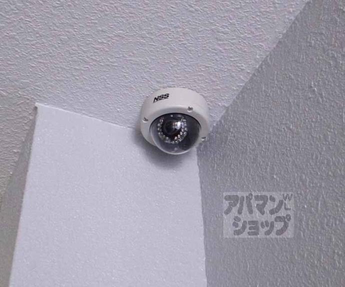 【ダイシンｆビル】間取