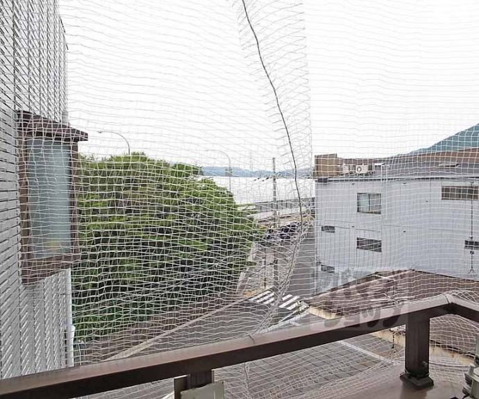 【ダイシンｆビル】間取