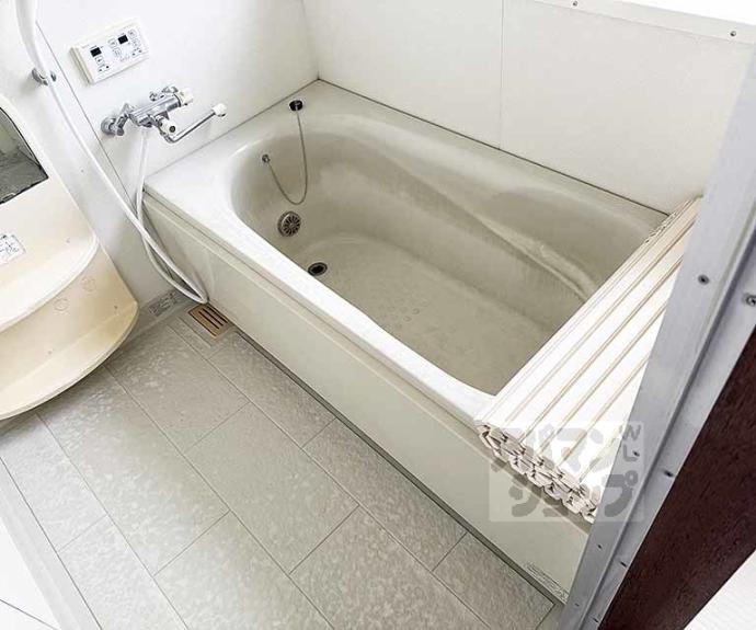 【メゾン斉藤】間取