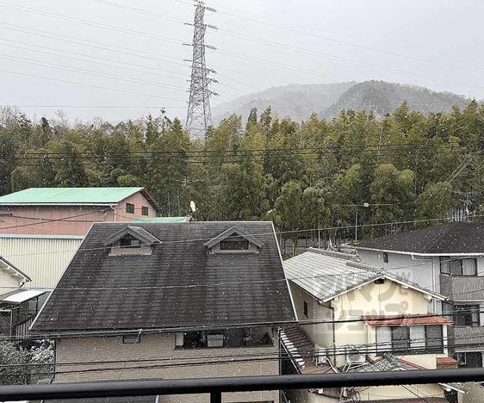 【メゾン斉藤】間取