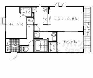 【ピーノコンプリオ】