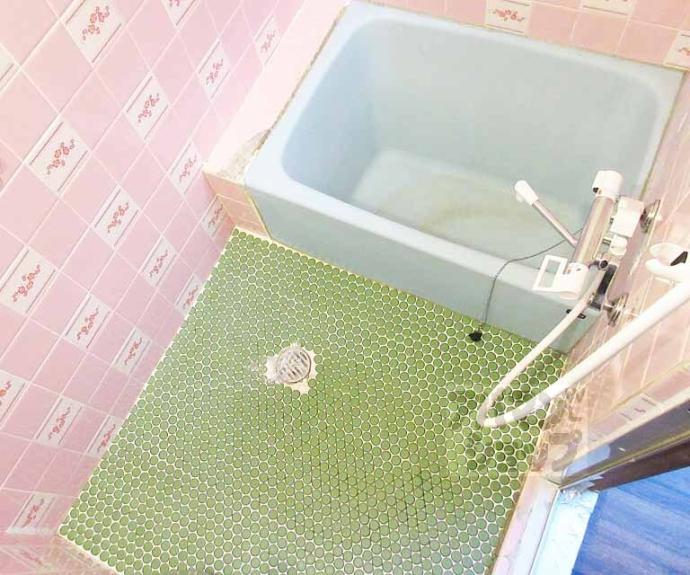 【川田菱尾田貸家】間取