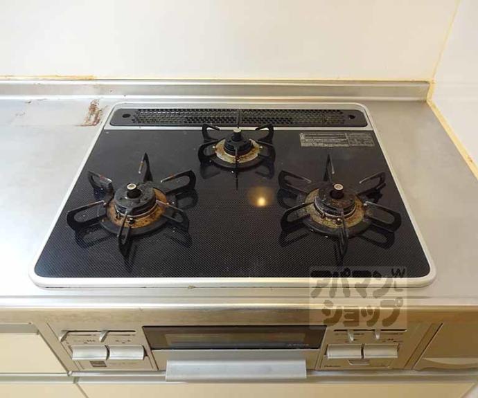 【ラフレシール・ジュネス】間取