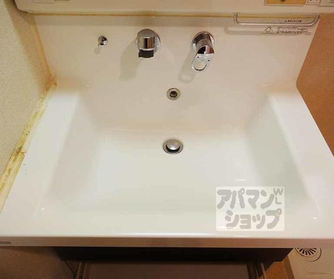 【ラフレシール・ジュネス】間取